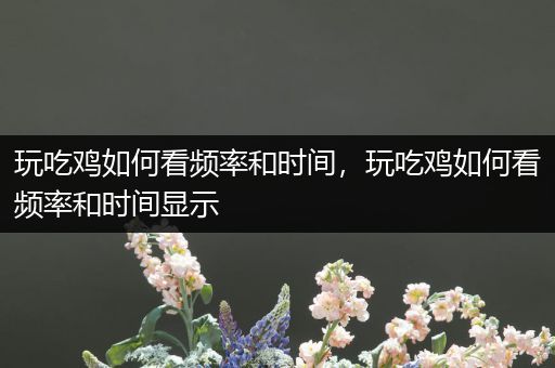 玩吃鸡如何看频率和时间，玩吃鸡如何看频率和时间显示