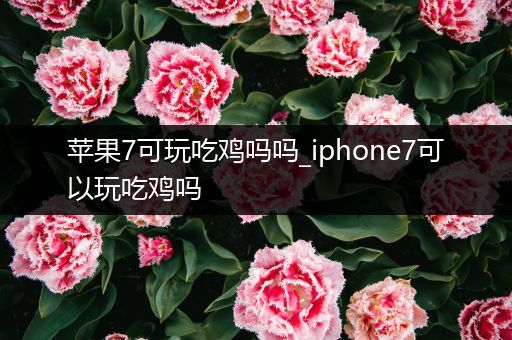 苹果7可玩吃鸡吗吗_iphone7可以玩吃鸡吗