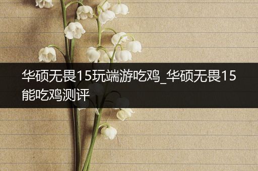 华硕无畏15玩端游吃鸡_华硕无畏15能吃鸡测评
