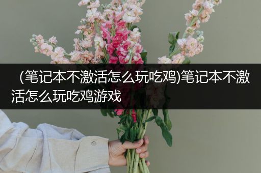 （笔记本不激活怎么玩吃鸡)笔记本不激活怎么玩吃鸡游戏
