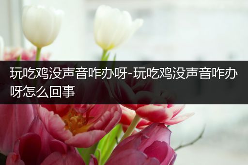 玩吃鸡没声音咋办呀-玩吃鸡没声音咋办呀怎么回事