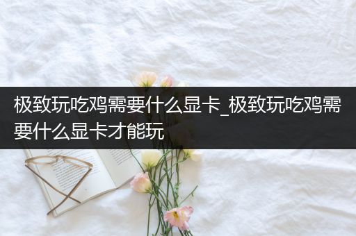 极致玩吃鸡需要什么显卡_极致玩吃鸡需要什么显卡才能玩
