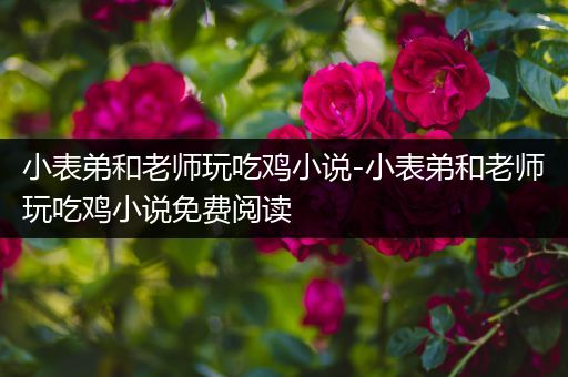 小表弟和老师玩吃鸡小说-小表弟和老师玩吃鸡小说免费阅读