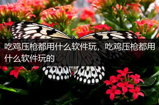 吃鸡压枪都用什么软件玩，吃鸡压枪都用什么软件玩的