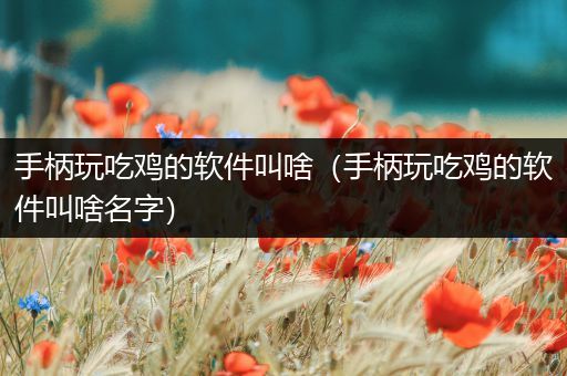 手柄玩吃鸡的软件叫啥（手柄玩吃鸡的软件叫啥名字）