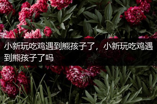 小新玩吃鸡遇到熊孩子了，小新玩吃鸡遇到熊孩子了吗