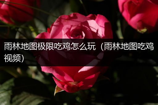 雨林地图极限吃鸡怎么玩（雨林地图吃鸡视频）