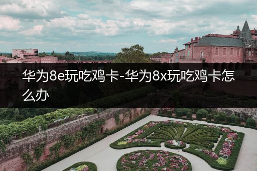 华为8e玩吃鸡卡-华为8x玩吃鸡卡怎么办