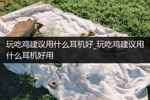 玩吃鸡建议用什么耳机好_玩吃鸡建议用什么耳机好用