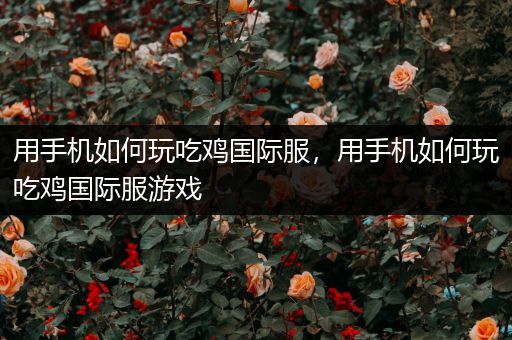 用手机如何玩吃鸡国际服，用手机如何玩吃鸡国际服游戏