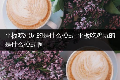 平板吃鸡玩的是什么模式_平板吃鸡玩的是什么模式啊