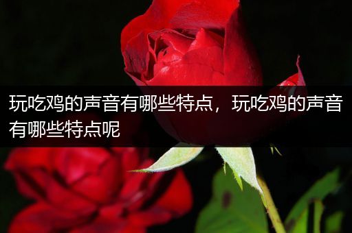 玩吃鸡的声音有哪些特点，玩吃鸡的声音有哪些特点呢