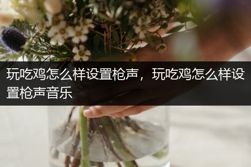 玩吃鸡怎么样设置枪声，玩吃鸡怎么样设置枪声音乐