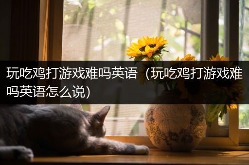 玩吃鸡打游戏难吗英语（玩吃鸡打游戏难吗英语怎么说）