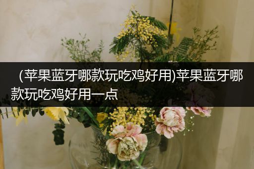 （苹果蓝牙哪款玩吃鸡好用)苹果蓝牙哪款玩吃鸡好用一点