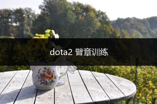 dota2 臂章训练