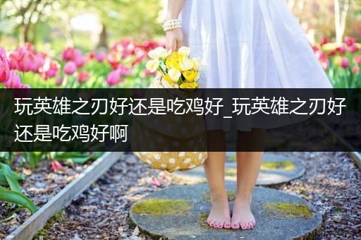 玩英雄之刃好还是吃鸡好_玩英雄之刃好还是吃鸡好啊