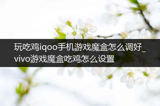 玩吃鸡iqoo手机游戏魔盒怎么调好_vivo游戏魔盒吃鸡怎么设置