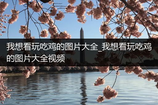 我想看玩吃鸡的图片大全_我想看玩吃鸡的图片大全视频