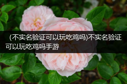 （不实名验证可以玩吃鸡吗)不实名验证可以玩吃鸡吗手游