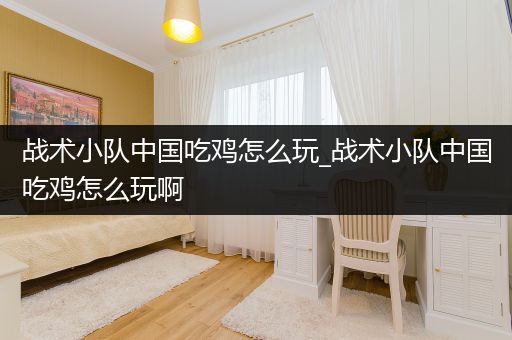 战术小队中国吃鸡怎么玩_战术小队中国吃鸡怎么玩啊