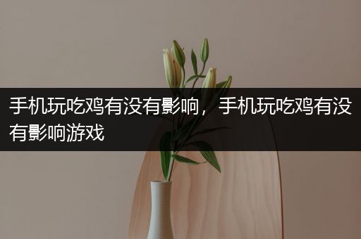 手机玩吃鸡有没有影响，手机玩吃鸡有没有影响游戏