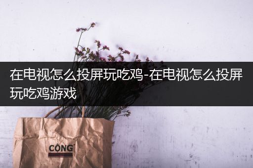 在电视怎么投屏玩吃鸡-在电视怎么投屏玩吃鸡游戏