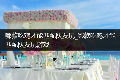 哪款吃鸡才能匹配队友玩_哪款吃鸡才能匹配队友玩游戏