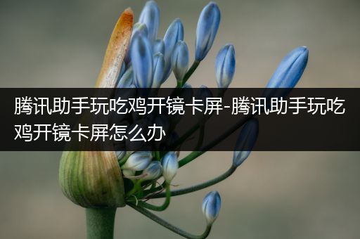 腾讯助手玩吃鸡开镜卡屏-腾讯助手玩吃鸡开镜卡屏怎么办
