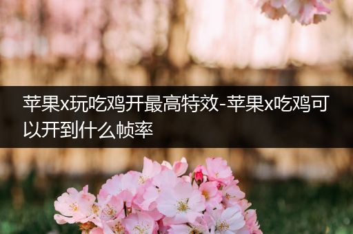 苹果x玩吃鸡开最高特效-苹果x吃鸡可以开到什么帧率