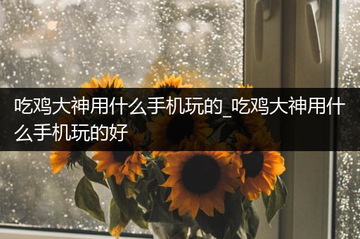 吃鸡大神用什么手机玩的_吃鸡大神用什么手机玩的好