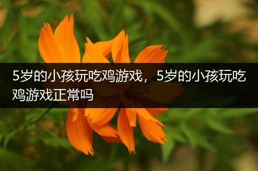 5岁的小孩玩吃鸡游戏，5岁的小孩玩吃鸡游戏正常吗