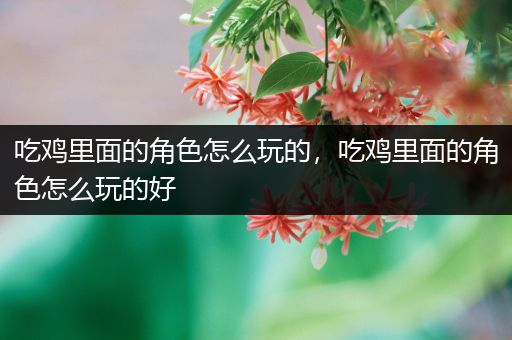吃鸡里面的角色怎么玩的，吃鸡里面的角色怎么玩的好