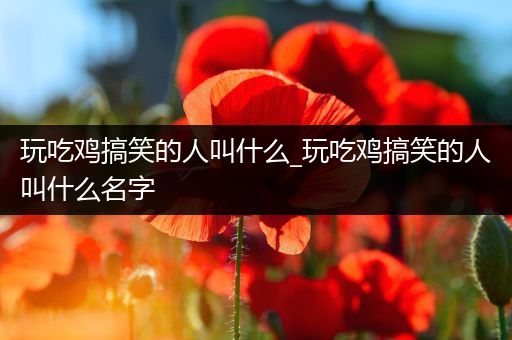 玩吃鸡搞笑的人叫什么_玩吃鸡搞笑的人叫什么名字