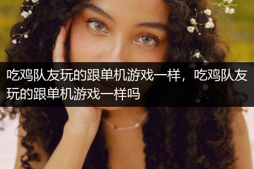 吃鸡队友玩的跟单机游戏一样，吃鸡队友玩的跟单机游戏一样吗