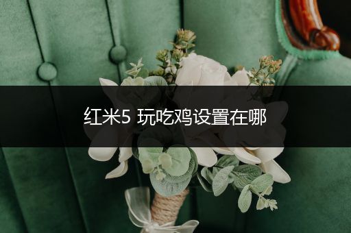 红米5 玩吃鸡设置在哪