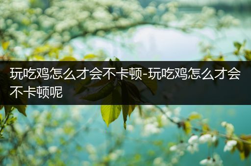玩吃鸡怎么才会不卡顿-玩吃鸡怎么才会不卡顿呢