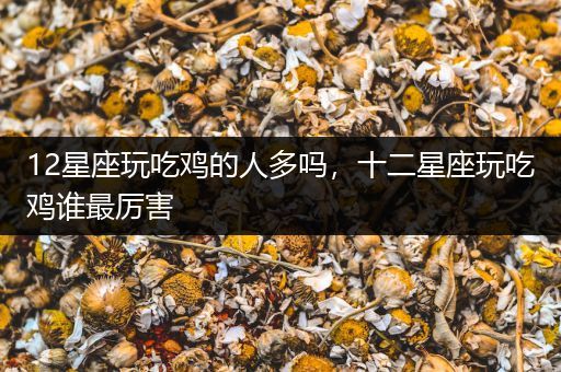 12星座玩吃鸡的人多吗，十二星座玩吃鸡谁最厉害