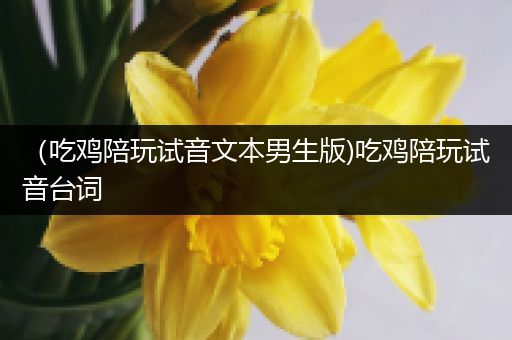 （吃鸡陪玩试音文本男生版)吃鸡陪玩试音台词