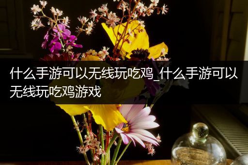 什么手游可以无线玩吃鸡_什么手游可以无线玩吃鸡游戏
