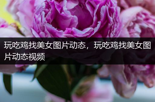 玩吃鸡找美女图片动态，玩吃鸡找美女图片动态视频