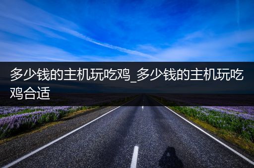 多少钱的主机玩吃鸡_多少钱的主机玩吃鸡合适