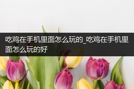 吃鸡在手机里面怎么玩的_吃鸡在手机里面怎么玩的好