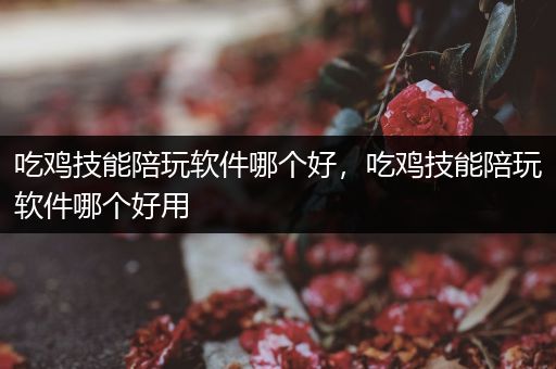 吃鸡技能陪玩软件哪个好，吃鸡技能陪玩软件哪个好用