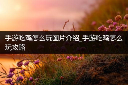 手游吃鸡怎么玩图片介绍_手游吃鸡怎么玩攻略