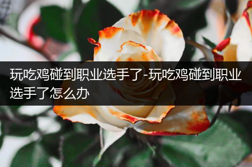 玩吃鸡碰到职业选手了-玩吃鸡碰到职业选手了怎么办