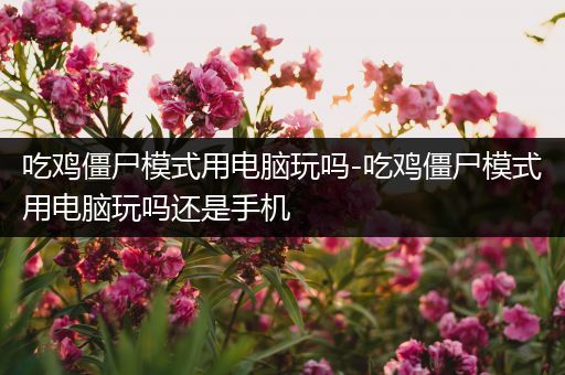 吃鸡僵尸模式用电脑玩吗-吃鸡僵尸模式用电脑玩吗还是手机