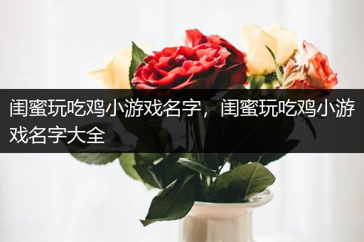 闺蜜玩吃鸡小游戏名字，闺蜜玩吃鸡小游戏名字大全