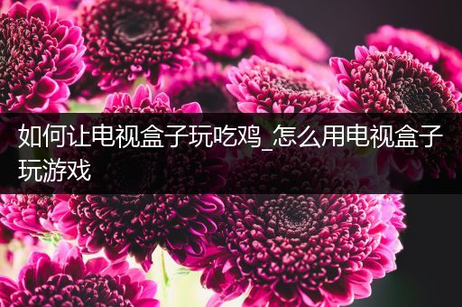 如何让电视盒子玩吃鸡_怎么用电视盒子玩游戏