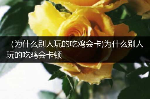（为什么别人玩的吃鸡会卡)为什么别人玩的吃鸡会卡顿